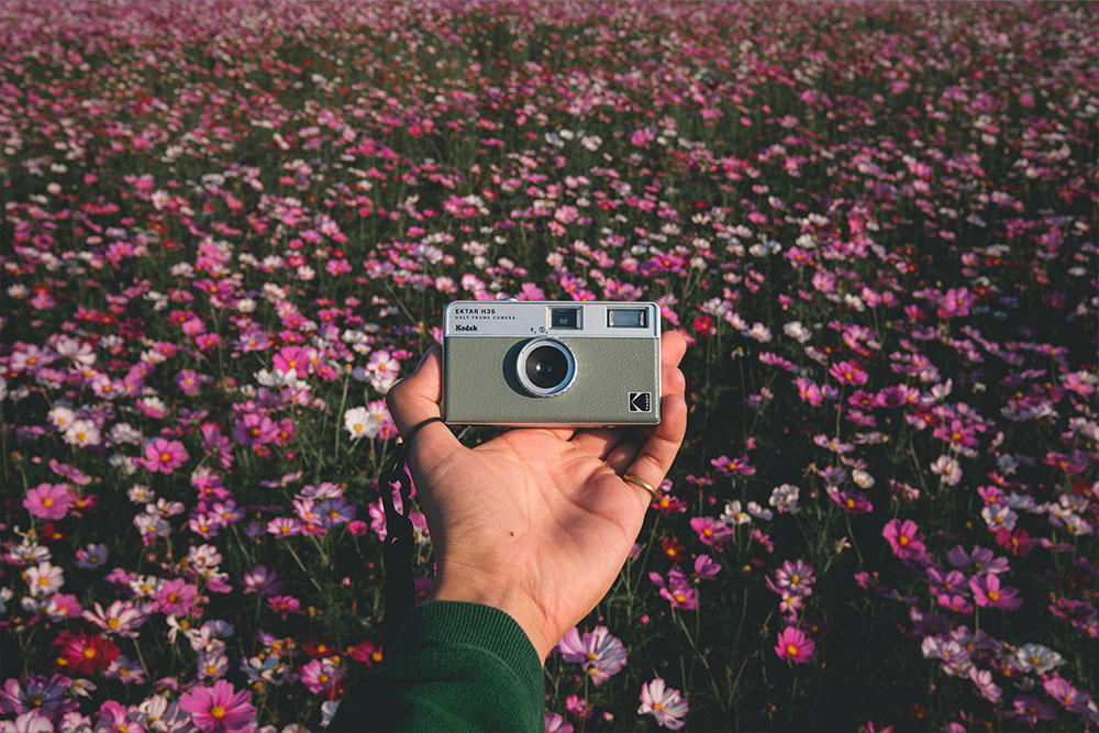 コダック　KODAK フィルムカメラ コスモス　写真